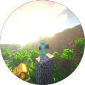 user_profile
